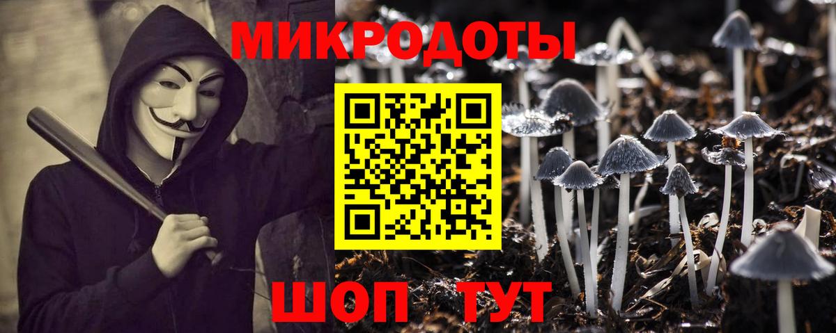 Псилоцибиновые грибы Cubensis Касимов